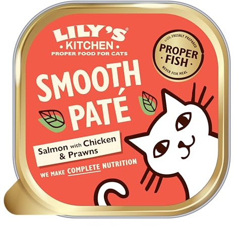 Lily's Kitchen Natural Adult Wet Cat Food Trays - Catch of the Day Salmon & Chicken Smooth Paté - Complete Grain-Free Recipes (19 Trays x 85g)