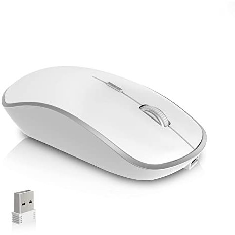 JOYACCESS - Mouse senza fili, ricaricabile, portatile silenzioso 2400 DPI Souris, modello compatto ergonomico, dimensioni normali, creato per PC/Laptop/computer (Silver)