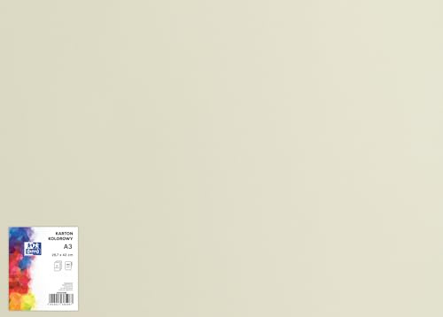 OXFORD Bastelkarton, DIN A3/ Buntes Bastelpapier/Tonpapier 160 g/m² /Bristolkarton/ 25 Blatt, hellgrau. Geeignet zum Basteln, Drucken, Kopieren