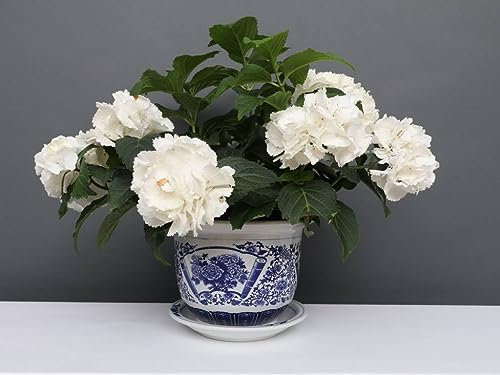 Yajutang China Porcelain Flower Pot Blue/White with Peony Diameter 22 cm
