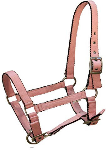 York Fohlenhalfter Mini Halfter Pferdehalfter Tobi versch. Farben (Rose Gold)