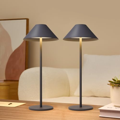 Lalavon Lampada da Tavolo Dimmerabile, Lampada Touch Senza Fili 3 Modalità di Colore 3000K/4000K/6000K, 4000mAh Portatile Lampada Tavolo Ricaricabile con USB-C, Impermeabilità IP54, 2 Pezzi (Grigio)