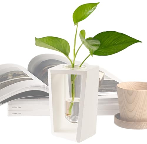 Propagation Stations - Decorative Glass Planter with Wooden Frame, Air Stand | Indoor Greenhouse Vase, Botanical Display Tray, Table Sprouter, Decor