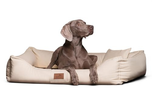 tierlando® Orthopädisches Hundebett Maddox Easy CLEAN aus pflegeleichtem Kunstleder mit Visco-Matratze für gesunden Schlafkomfort bei Gelenkproblemen Größe: 150x100cm | Farbe: 05 Creme
