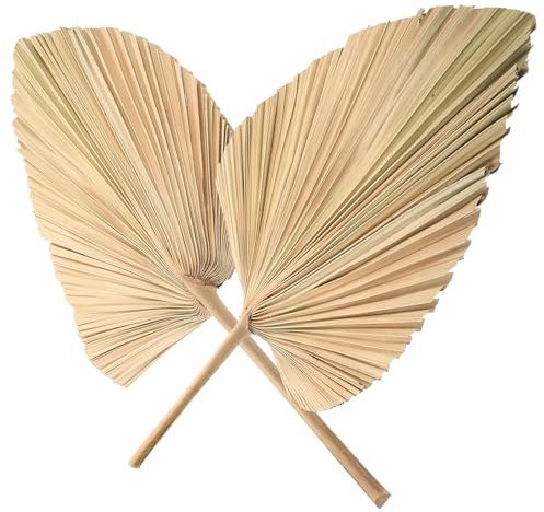 WEKADRIN 2 Piezas de Hojas de Palma Secas en Forma de Corazón para Decoración Natural de Paredes de Flores y Tiendas, Abanicos de Palma Creativos para Bodas y Fiestas