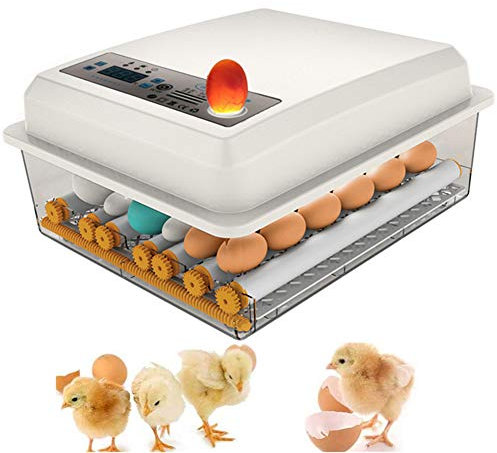 16 Eier Brutmaschine Vollautomatisch Inkubator Hühner Digitales Automatische Wachtel Brutautomat Eierbrutkasten Intelligent Motorbrüter für Huhn Enten Gänse Geflügel Taube Wachtel Eierbrutmaschine