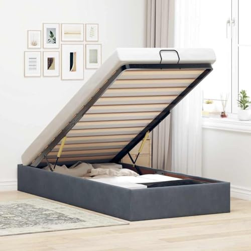 ACAGALA Polsterbett mit Bettkasten 100x200 cm, Einzelbett mit Stauraum, Bettgestell mit Lattenrost, Bettrahmen ohne Matratze, Boxspringbett für Schlafzimmer, Gästezimmer, Samt, Dunkelgrau