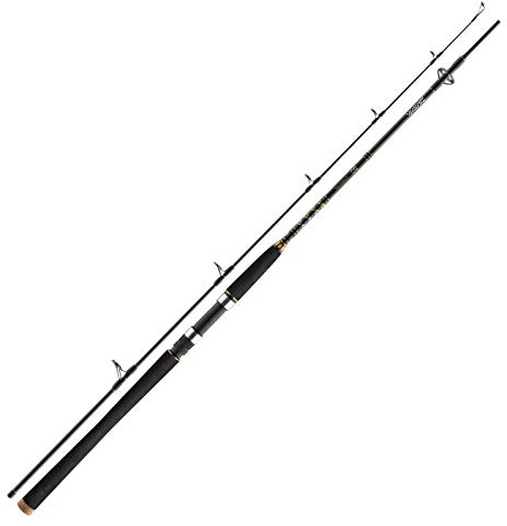 Daiwa BG Pilk 2,70m 40-125g Bootsrute Meeresrute