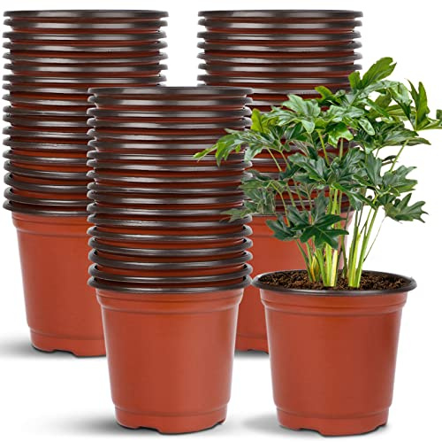 Augshy 40 Pcs 6 Plastic Plant Nursery Seed Starting Pots for Indoor Outdoor Succulent Seedling Cutting Transplanting