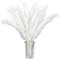 MHDAMAI Herbe de Pampa séchée, 30 Bouquet de Fleurs Séchées Roseau de Pampa Blanc pour Intérieur