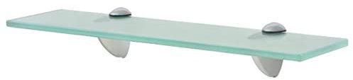 Wandregal 40x10 cm Wandboard, Regalboden, Schweberegal, Hängeregal, Regalsysteme für Wohnzimmer, Arbeitszimmer, Badezimmer, Küche, CDs, Deko Transparent