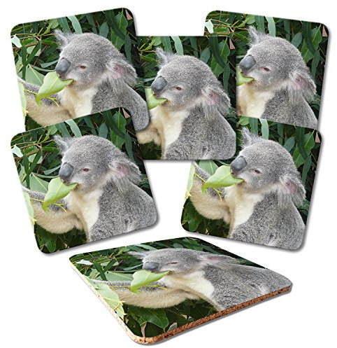 ADDIES Glas-Untersetzer 6-TLG.Set Bedruckt Motiv KOALA-02 in hochwertiger Klarsicht-Geschenkbox und Korkrückseite