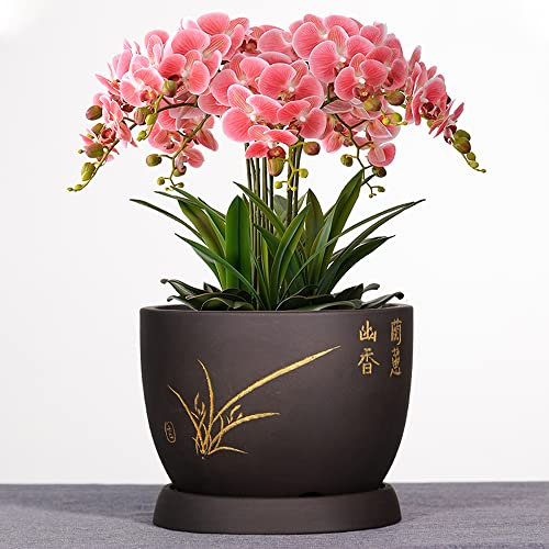 Große runde Sukkulententöpfe, grüne Pflanzenbehälter, Keramik-Blumentöpfe, lila Ton, Orchideentopf, Outdoor-Garten, Bonsai-Töpfe, Heimdekoration, Töpfe mit Abflussloch, Untertasse