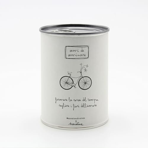 Kit di Coltivazione di Fiori da Regalare con Messaggio - Regalo per Feste per Donna e Uomo Regalo Originale Amici Famiglia Compleanno Natale - Facilissimo da Usare - 100% Realizzato in Europa