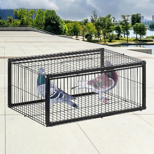 Jaula trampa para palomas, trampa para animales, trampa para pollos y pájaros con 2 entradas unidireccionales y tragaluces para un fácil montaje y limpieza: controle los problemas de las palomas con