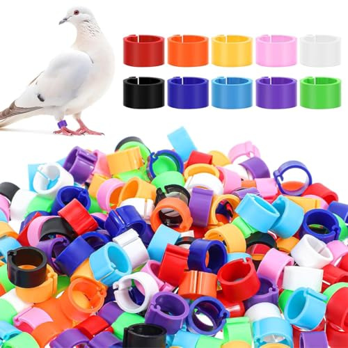 JEYORZY 100 pièces bagues d'identification pour oiseaux de 10mm, aanneaux de pied de volaille avec coloré, Accessoire ludique pour décorer les volaille anneaux de cuisse de poulet, couleur aléatoire