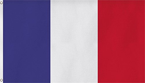 Flagge Frankreich 90 x 150 cm Fahne mit 2 Ösen 100g/m² Stoffgewicht Hissflagge Hissen