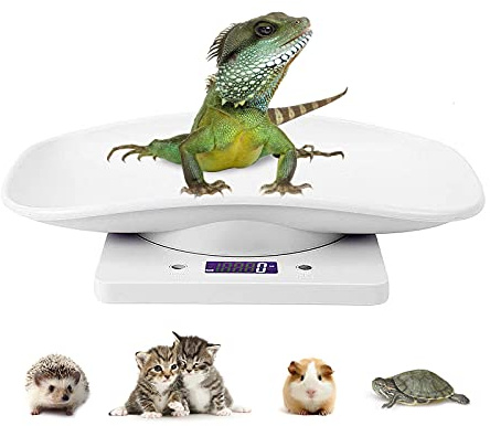 Bilancia digitale per animali domestici, elettronica, LCD, per piccoli animali, bilancia da cucina, mini bilancia di precisione in grammi, bilancia con g/ml/oz/lb per cucciolo/gatto/riccio/furetto