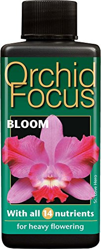 Orchid Focus Bloom 100ml