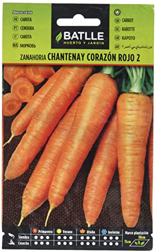 Semillas Batlle – Semi di carota