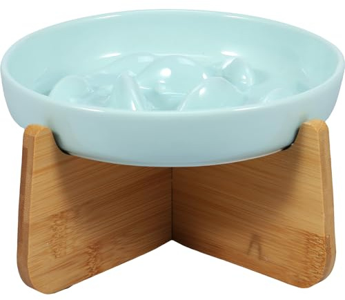 Gamelle Anti Glouton Chat Ceramique avec Bambou Support - Surélevée pour Prévenir Vomissements, Indigestion et Obésité (Vert)