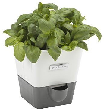 Cole & Mason Burwell Kräutertopf Selbstbewässernd, Kräutertopf Balkon/Kräutergarten für die Küche/Für Frische Küchenkräuter, Enthält 4 x Pads,