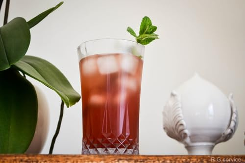 R.G.Service Bicchieri in plastica riutilizzabili vintage da 460 ml. Modello tumbler alto. Confezione da 6 pz. Bicchieri da cocktail e drink infrangibili per barca, feste, party in piscina