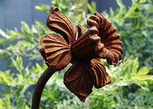 GAP GARDEN PRODUCTS Outdoor Metal rust garden Daffodil Plant Stake/support,garden art (5ft Tall -152cm) Pack of 3