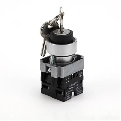Interruttore a pulsante rotante a chiave Interruttore selettore a 2/3 posizioni Pulsante di controllo dell'alimentazione momentaneo/a scatto 220 V 5 A(3 Position,1NO1NC_MOMENTARY)