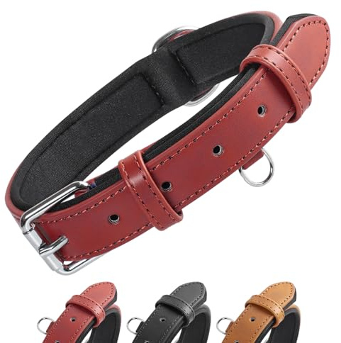 Grand Line Collier de Chien Ajustable Coussin Moelleux Cuir Rembourré avec Perforatrice 3 Couleur 4 Tailles, Rouge(M)
