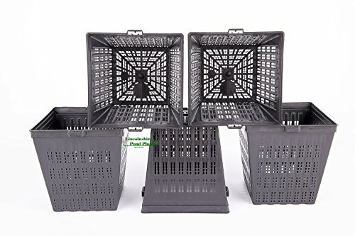 Lincolnshire Pond Plants Ltd 5 X 11cm New Square Plastic Aquatic pots Baskets for Water Plants and Pond