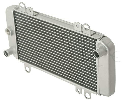 XMT-MOTOR Moto Radiatore Adatto per Kawasaki Ninja 250R EX250J 2008-2012