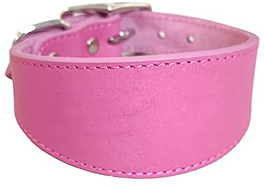 BHFYOB Leder Hundehalsband Weich Gepolstertes Halsband für Whippets Salukis Laufhunde Hunde Verstellbares Halsband Große Hunderassen