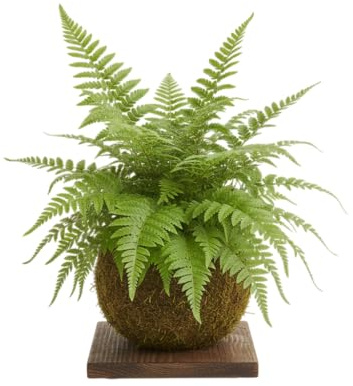 Kokedama Natural de Helecho Bostón Planta Viva de Interior Artesanal | DECOALIVE Decoración Natural