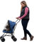 Pet Gear 02705 Buggy zum Transport von Hunden/Vierbeinern, leicht und kompakt, bis 6.8 kg