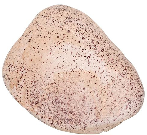 FONDOTIN Caja De Llaves Simulada Forma De Piedra para Jardín Ocultador De Llaves De Exterior Decoración De Jardín Realista Resistente