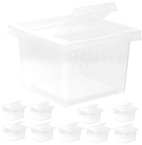 TOGEVAL 10 Stück Transparente Reptilien Futterboxen aus Kunststoff für Eidechsen und Geckos mit Sicherem Design als Transport und Aufzuchtbox