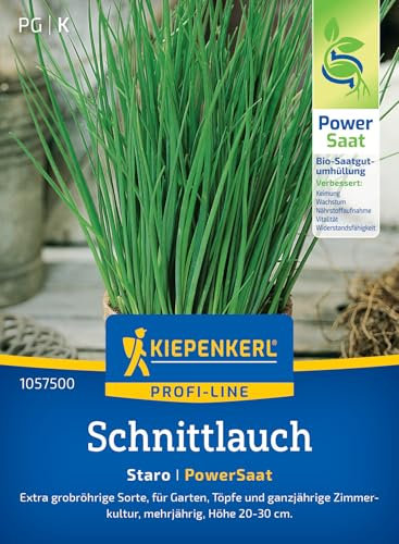 Kiepenkerl Profi-Line Schnittlauchsamen Staro 1057500 - Kräutersamen für eine extra grobröhrige Sorte mit einer Wuchshöhe von 20 bis 30 cm - Pflanzen, Powersaat