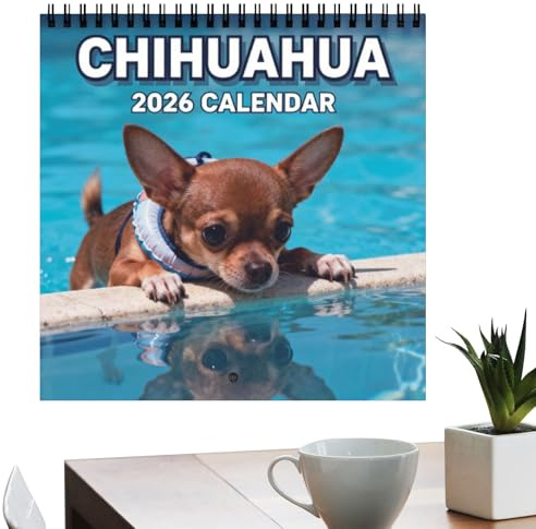 Kalender för 2026, familjeplanerare för 12 månader med hundtema, månadskalender för år 2026, för sovrum, resor, arbete, lägenhet, hotell, klassrum