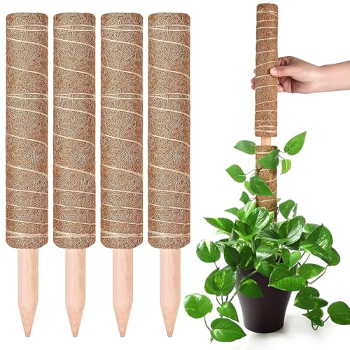 DOVBAN 4 Pièces Tuteur Monstera,Bâton en Fibre De Coco Naturelle avec Bande Velcro,Serre-Câble Et Ficelle,Tuteurs Sphaigne Extensible Jusqu,Tuteur Plante pour La Maison Jardin