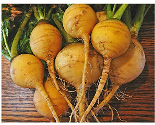 PREMIER SEEDS DIRECT - Turnip Seeds - Gold Ball - 4 Grams Finest Italian Seeds