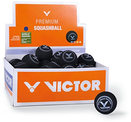 Victor Squashball, 36er Karton, Blau