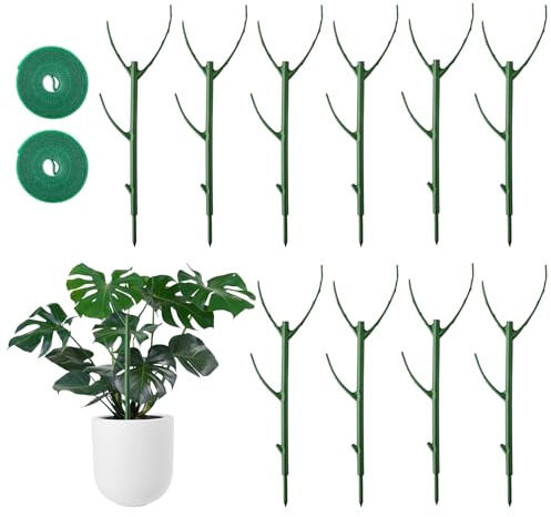 Flaxarne Lot de 10 Tuteur Plante Tiges de Support Empilables,Support pour Plantes d'intérieur Vertes Grimpantes,Monstera Pothos Fleurs Potager