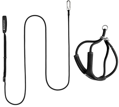 BuddyArmor Ausbruchsicher Y Form Katzengeschirr mit Leine Set, Verstellbar Anti-Choke Gepolstert Softgeschirr Katzenweste Geschirr und Freihandleinen für Katzen Walking bis 12kg (Schwarz, S)