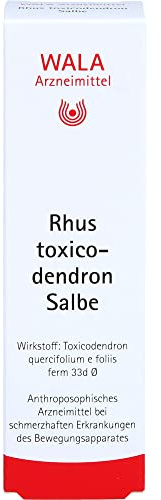 WALA Rhus toxicodendron Salbe, 30 g Salbe