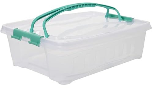 LIVINJA Scatola per il trasporto di torte, 1 contenitore plastica per torte con coperchio, contenitore per il trasporto con manici pieghevoli, Made in Europe