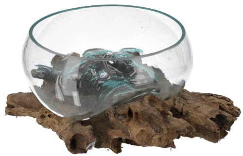 Wurzelholz Vase, Schale, Deko-Objekt aus Recyclingglas, Ø Glas 30 cm M6 | Individuelles Design, vielseitig einsetzbar, stimmungsvolle Lichtquelle, einzigartiges Einzelstück