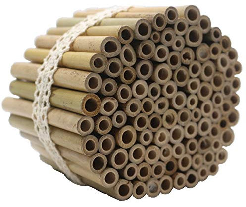 Super Idee 100 Stück 10cm Länge Bambusröhrchen für Insektenhotel Insektenhaus Wildbienen Wildbienenhotel Wildbienenhaus Bienenhotel Hummelhotel Hummelhaus Füllmaterial Bienenkasten Insektenkasten