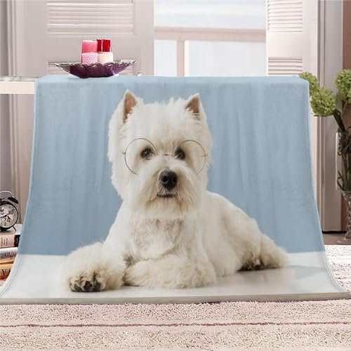 Weiß Kuscheldecke Flauschig 220x240cm 3D Bichon Frise Fleecedecke Weich Sofadecke Warm Bettdecke Decken Wohndecke Tagesdecke Sofaüberwurf Decke Couchdecke Bettüberwurf F210