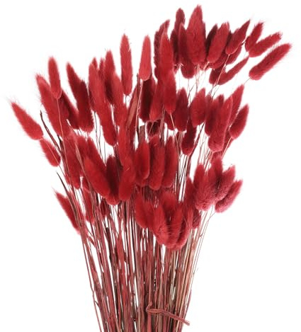 QUARKZMAN Hasenschwanzgras Getrocknet - Feuerrot, 120 Stück Getrocknete Blumen, 60cm Pampasgras Natürlicher für Florale Hochzeitsdekoration Weihnachten